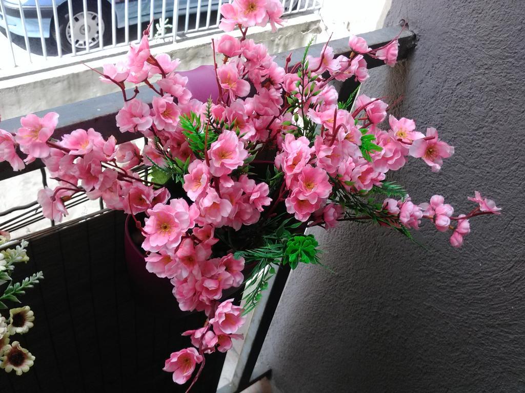 Keti 1 Apartment Beograd Bagian luar foto